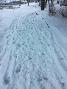 разлог1
