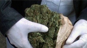 marihuana