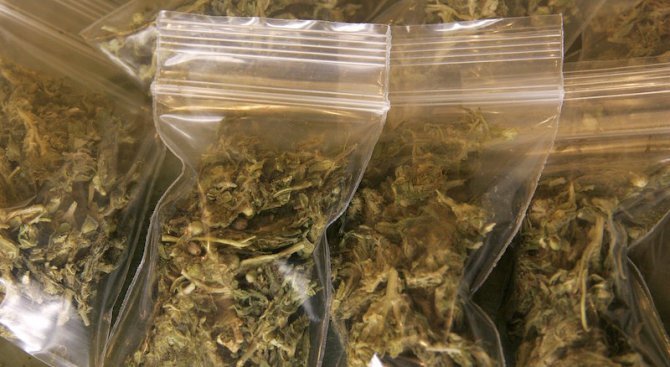 uchenik-zaloven-v-kurierski-ofis-v-burgas-opital-da-izprati-marihuana-v-plik-428618