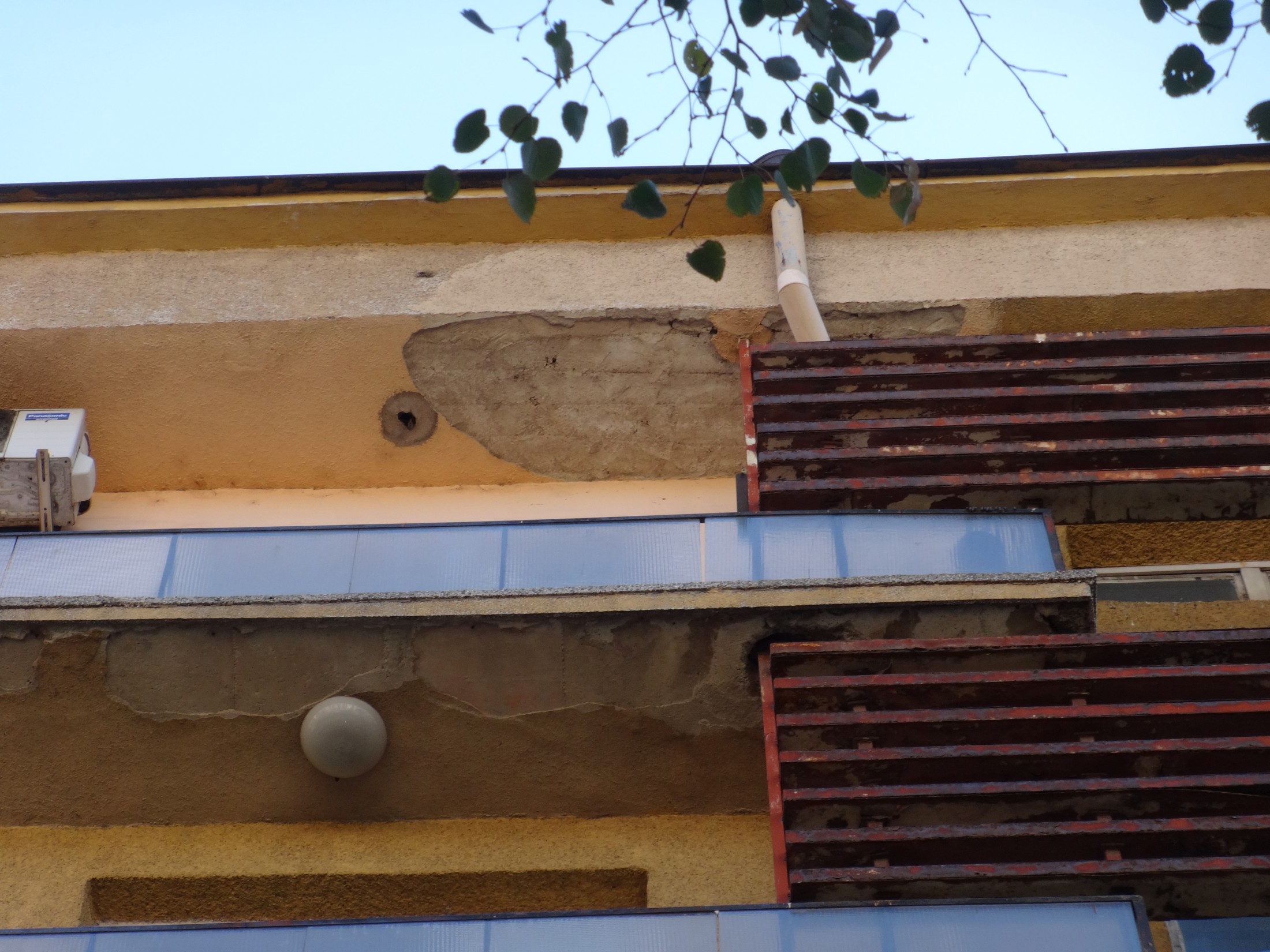 DSC09001