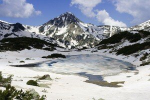 pirin