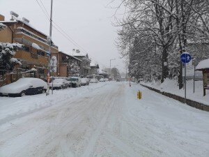 petrich1