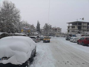 petrich2