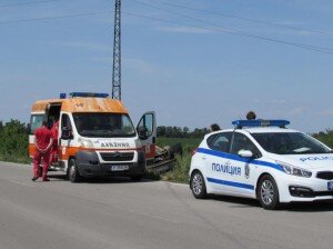 БГНЕС, архив