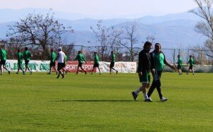 pirin