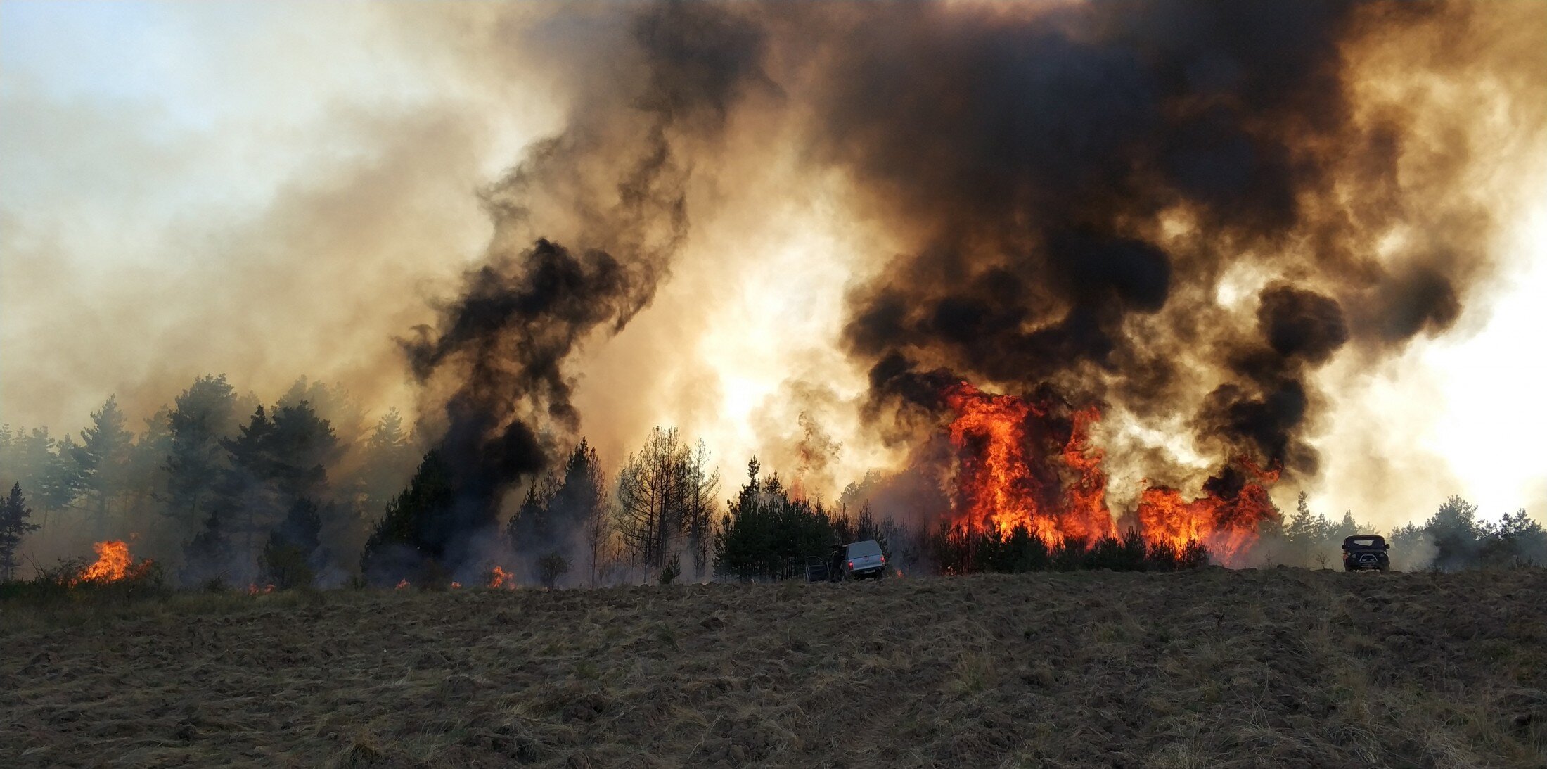 Пожар-1