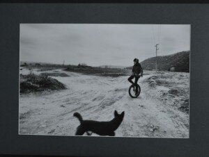 DSC_1288