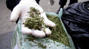 marihuana