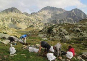 pirin