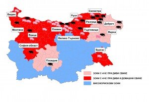 Карта