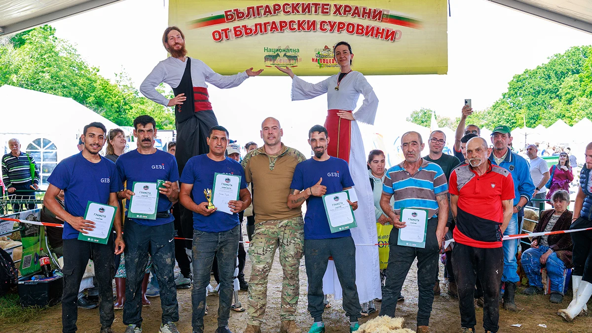 Фермер острига овца за рекордно време край Лясковец