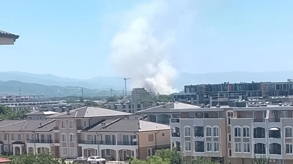 Голям пожар избухна край Околовръстното на Пловдив