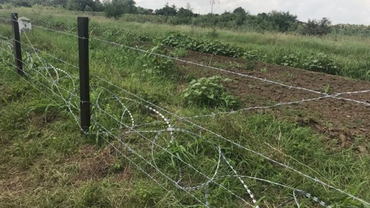 Оградата срещу чума по свинете се разпадна