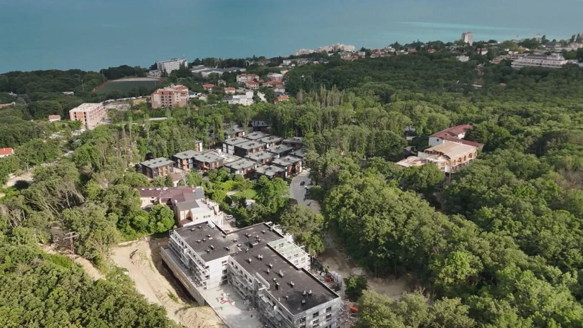 Дора Марчева: Изсякоха гората, това е тотална мафия