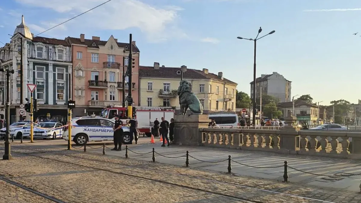 Обвиниха мъж за убийството на Лъвов мост
