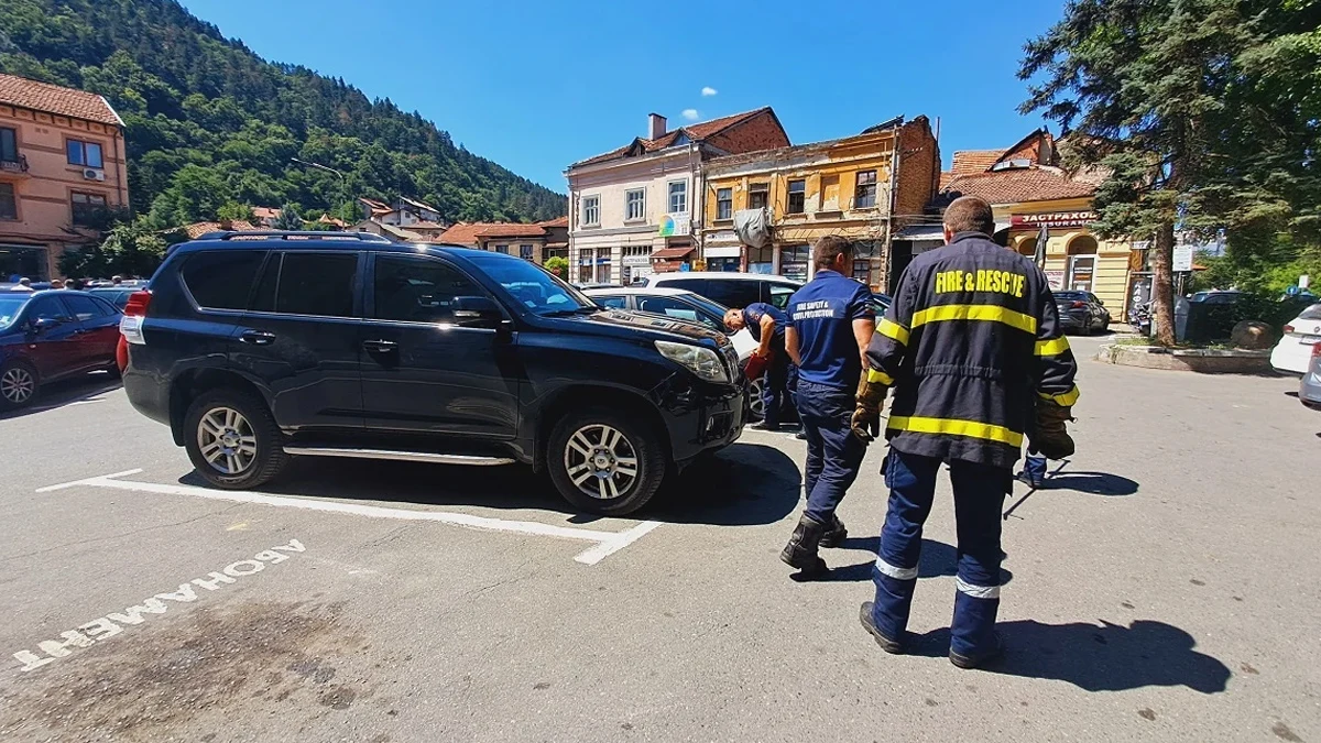Пожарникари извадиха змия от автомобил в Кюстендил
