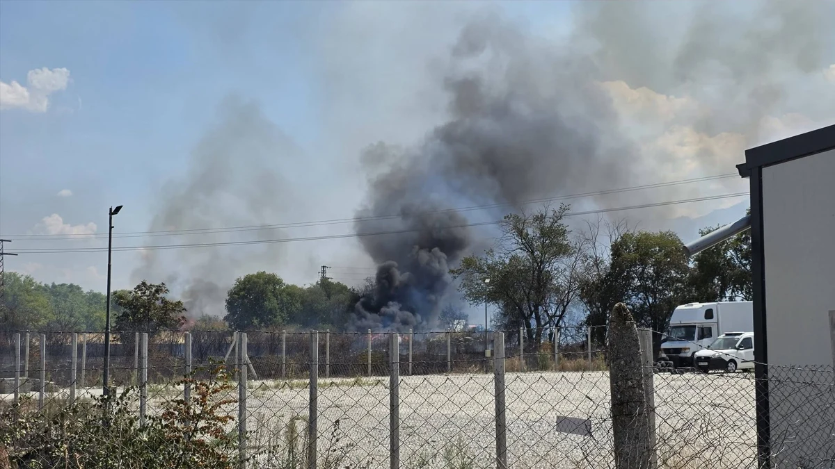 Десет екипа гасят пожар край Асеновград