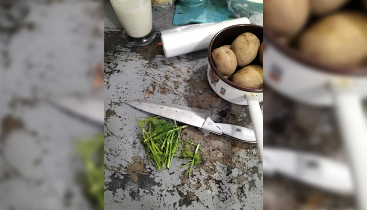 Затвориха пълна с насекоми хотелска кухня в Равда