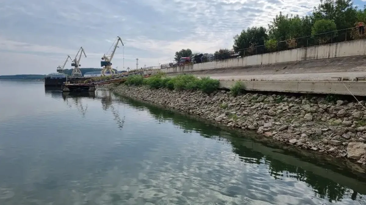 Дунав леко повиши нивото си край Лом