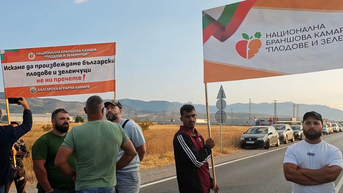 Овощари от Сливенско протестират заради ниски изкупни цени