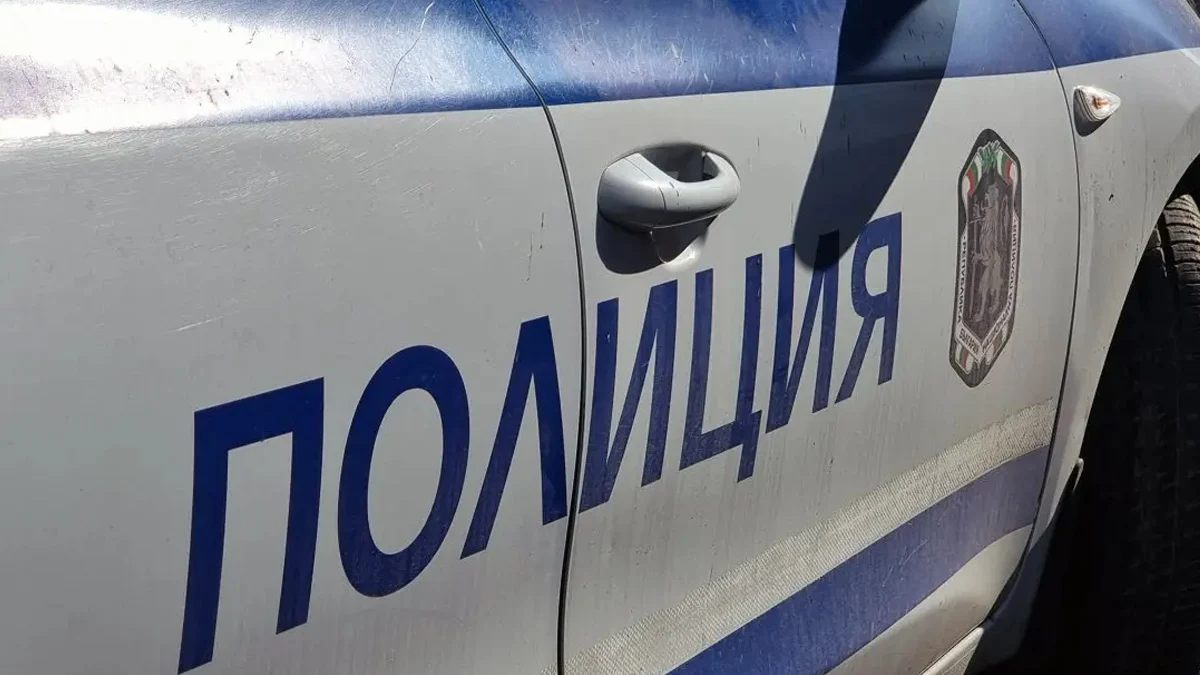 Младеж уби чичо си с кол в село Странско