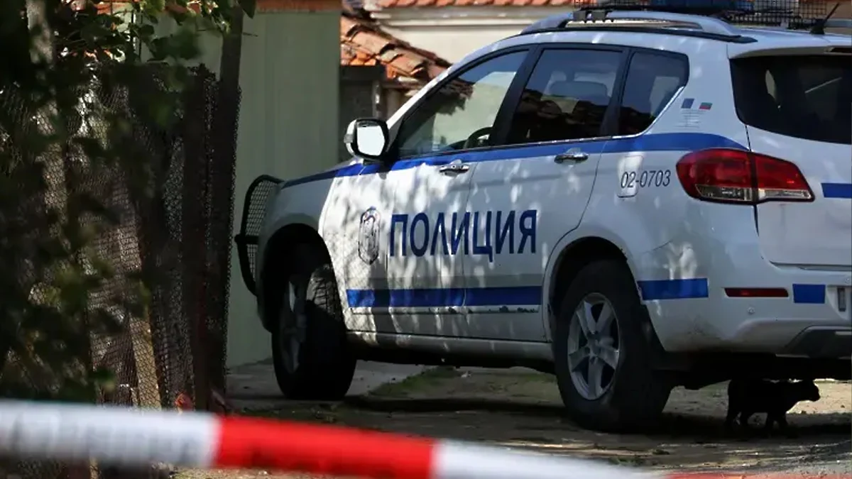 Откриха останки на кучета и котки в куфари в Ловеч