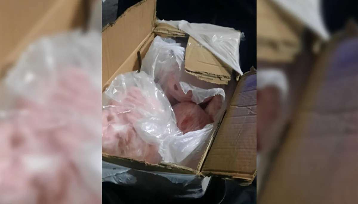 Конфискуваха два тона нелегални храни край Созопол