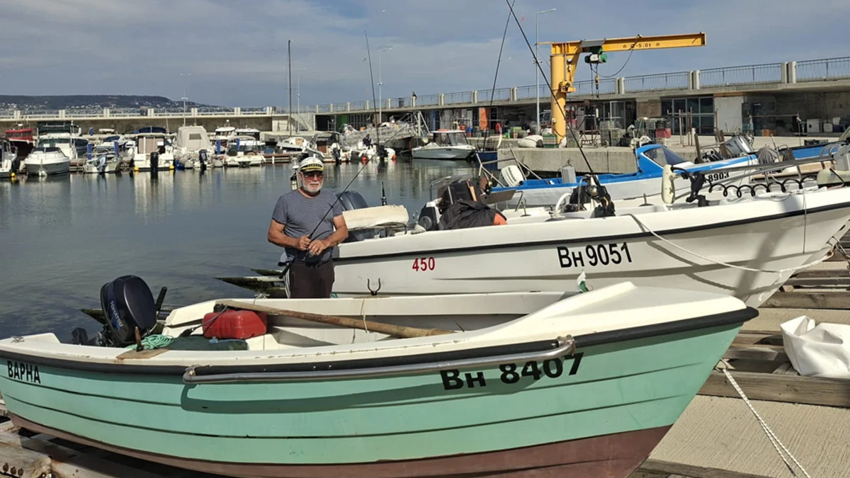 Уловът в Черно море падна наполовина, рибата поскъпва