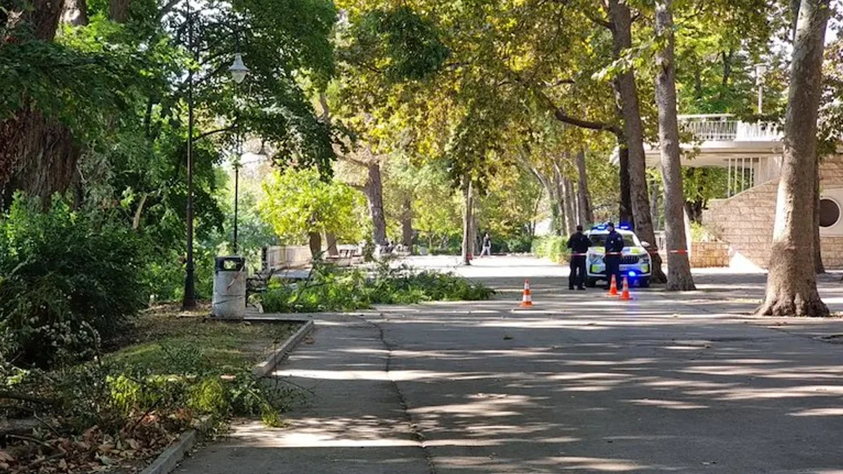 Паднал клон в Морската градина във Варна прати двама души в болница