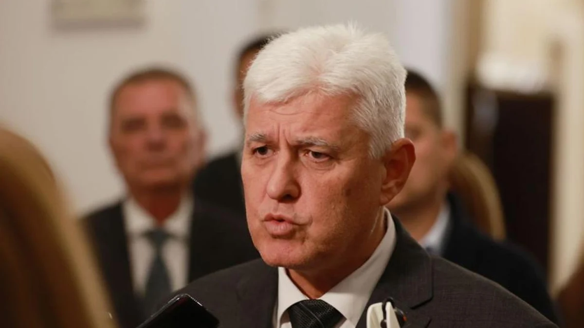 Димитър Стоянов: Няма нужда от активиране на член 4 от НАТО